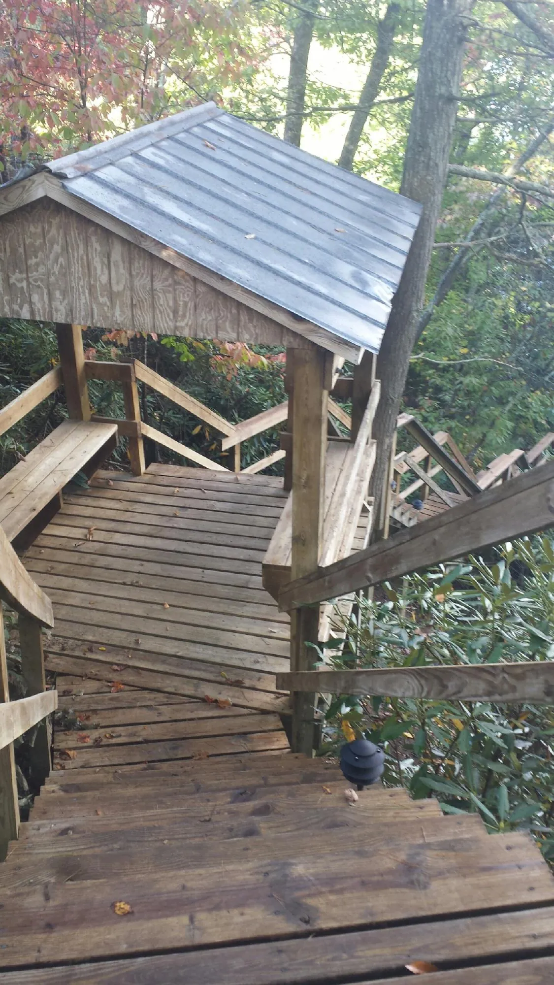 Metal roofed shelter over wooden steps on a wooded walkway — Skylight Repair & Installation work by our crew in Flovilla